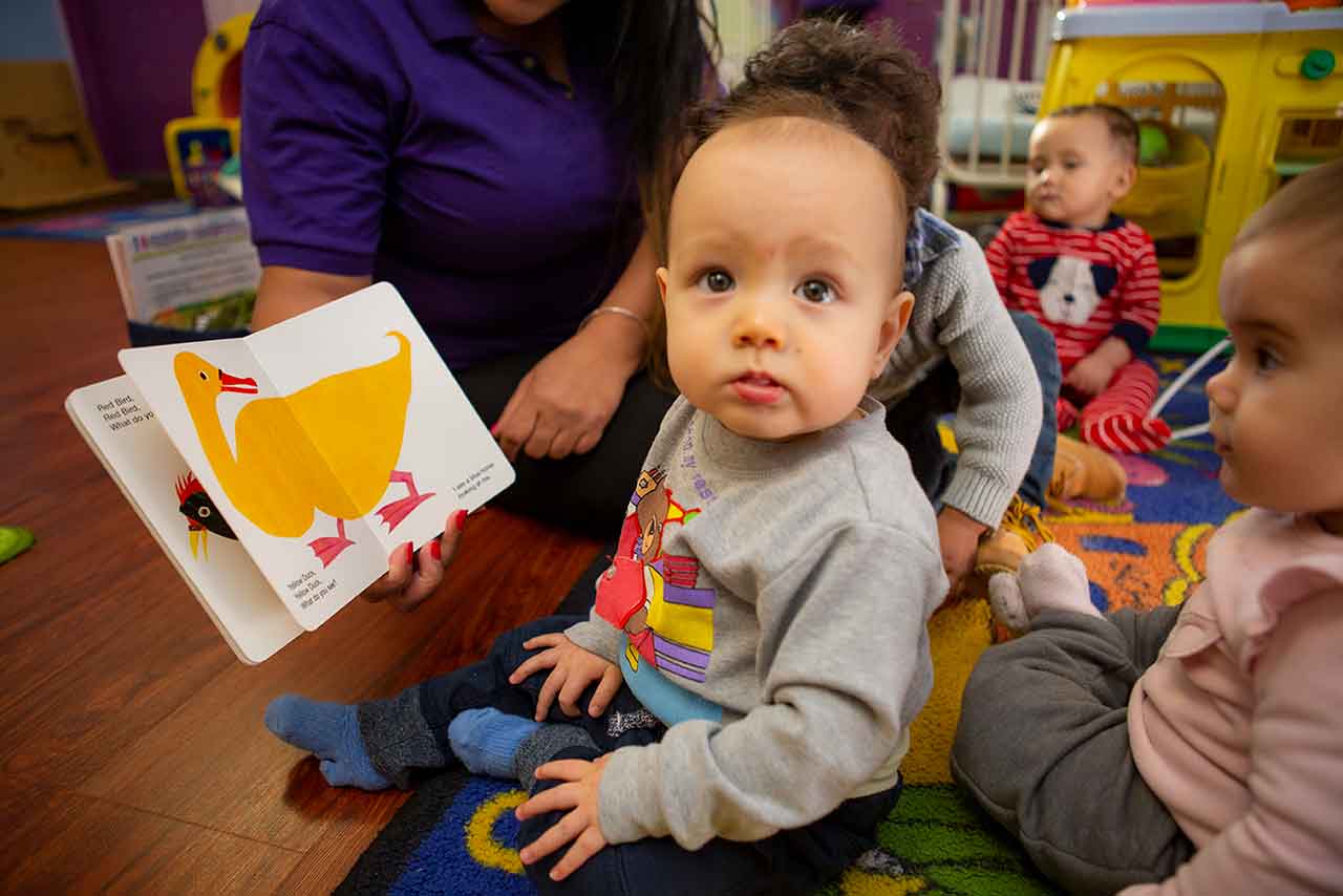 Infant looking at the camera